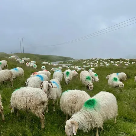 Hotel Boule De Neige Gourette