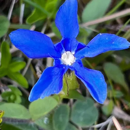 Boule De Neige Hotel 2*