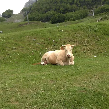 Hotel Boule De Neige 2*