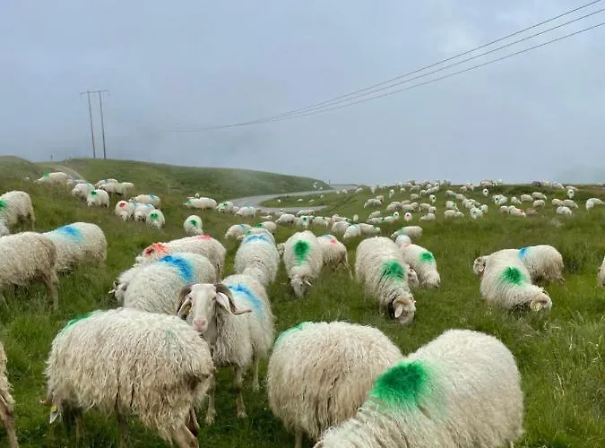 Hotel Boule De Neige Gourette