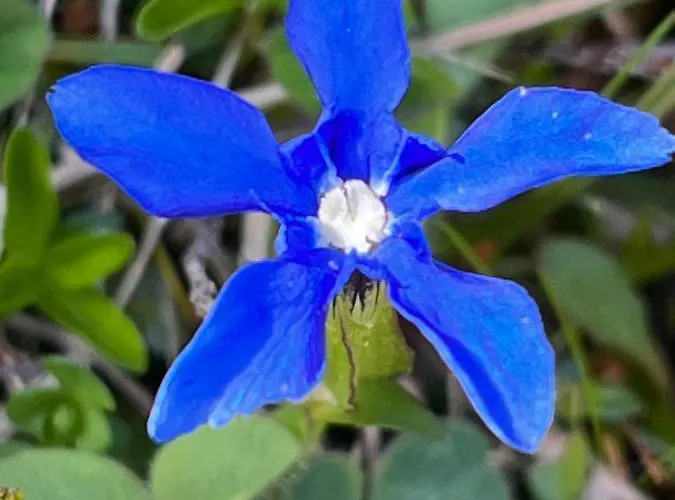 Boule De Neige Hotel 2*