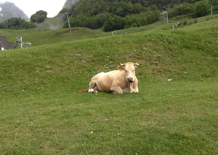 Hotel Boule De Neige 2*